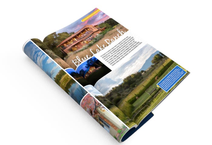Magazine