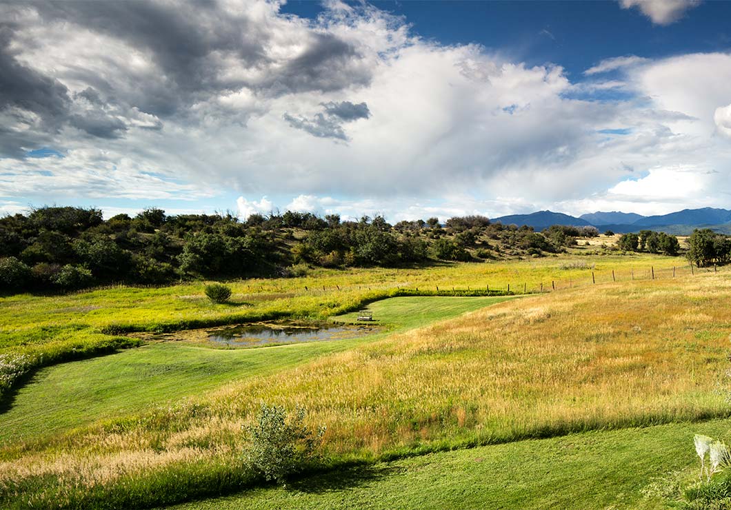 An open grassy field with mountains in the distance