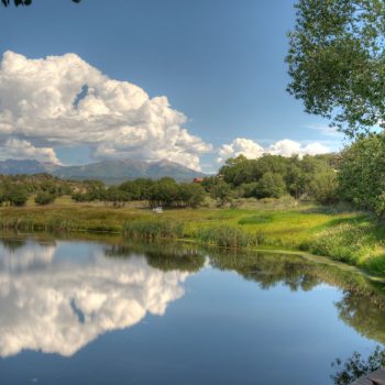 view of blue lake ranch in the summer with green grass