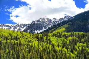 Colorado Mountain Scene